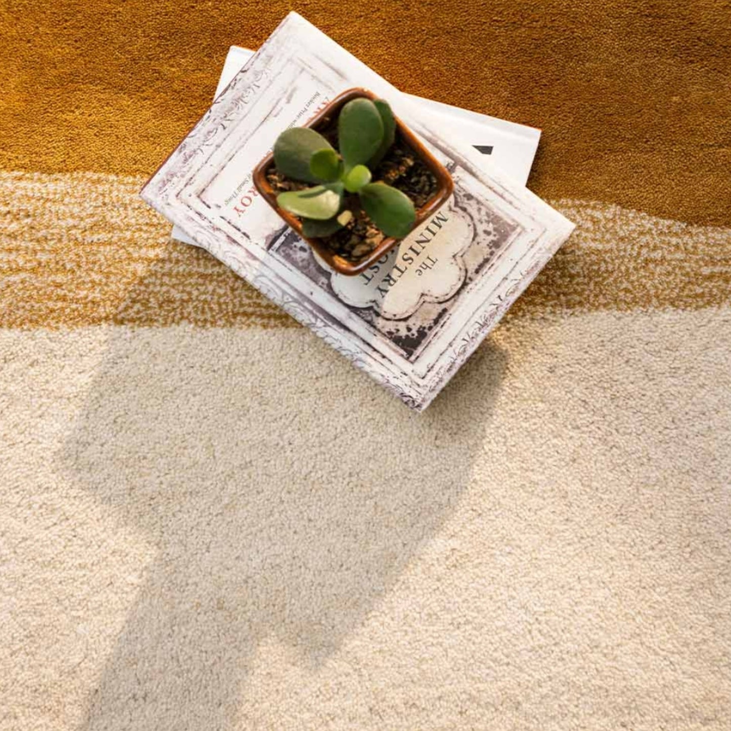 Modern design pattern tafted rug